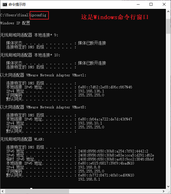 image-20260110203102204