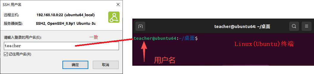 image-20260110215806969