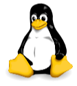 image-20260111164610287