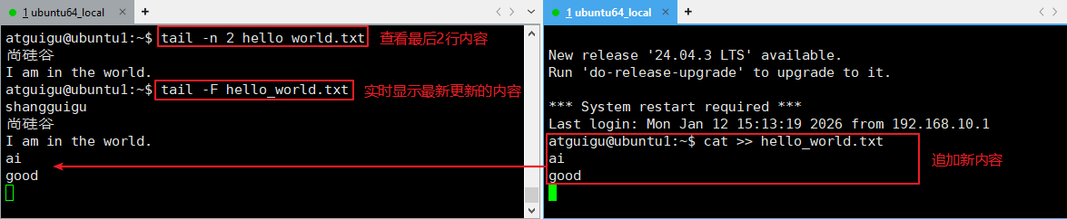 image-20260112222751534