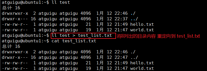 image-20260112224817274