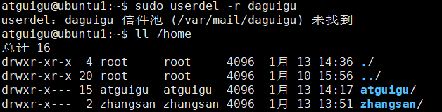 image-20260113143851335