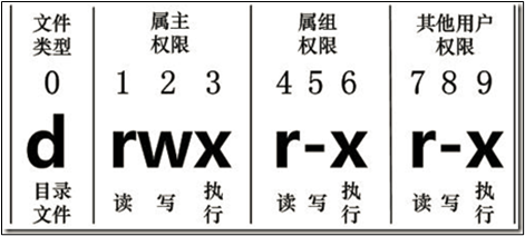image-20260113164529303