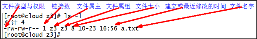 image-20260113165156357