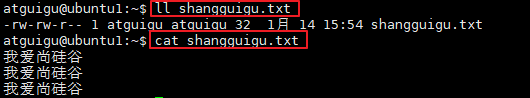 image-20260114155531579