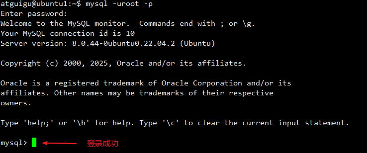 image-20260116154626878