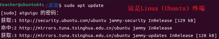 image-20260317112946155